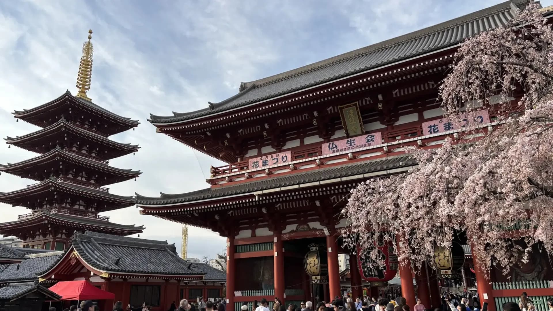 The Ultimate Guide to Japan Travel for Digital Nomads