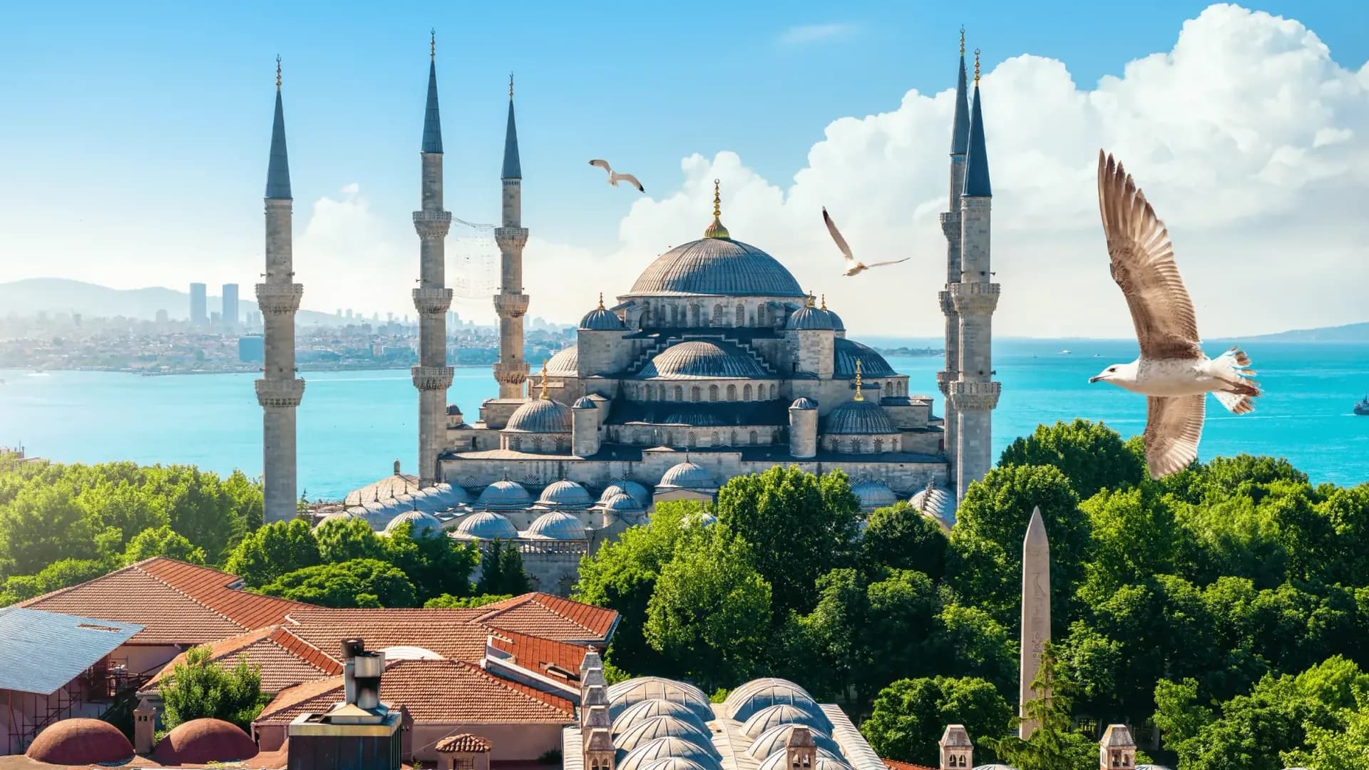 Turkey Digital Nomad Visa: How to Apply and Requirements