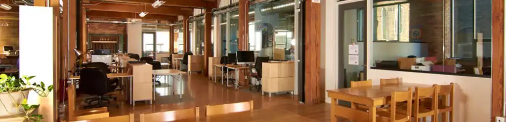 Centre for Social Innovation - Annex