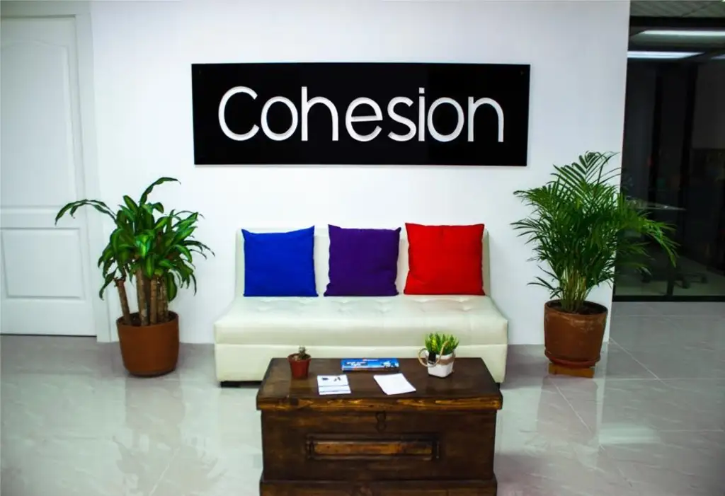 Cohesion Group